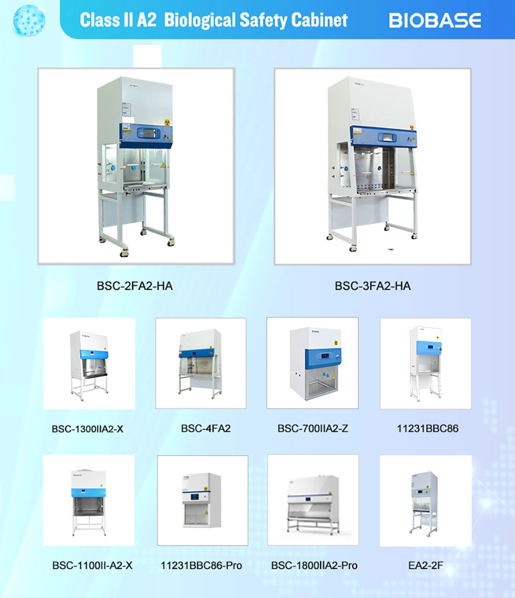 Biobase with LED Display Vacuum Drying Oven for Laboratory